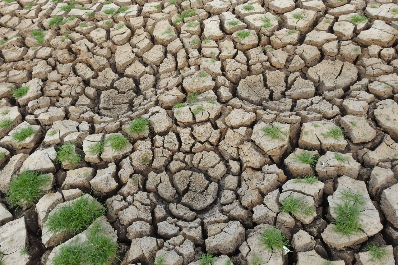 population growth food crisis