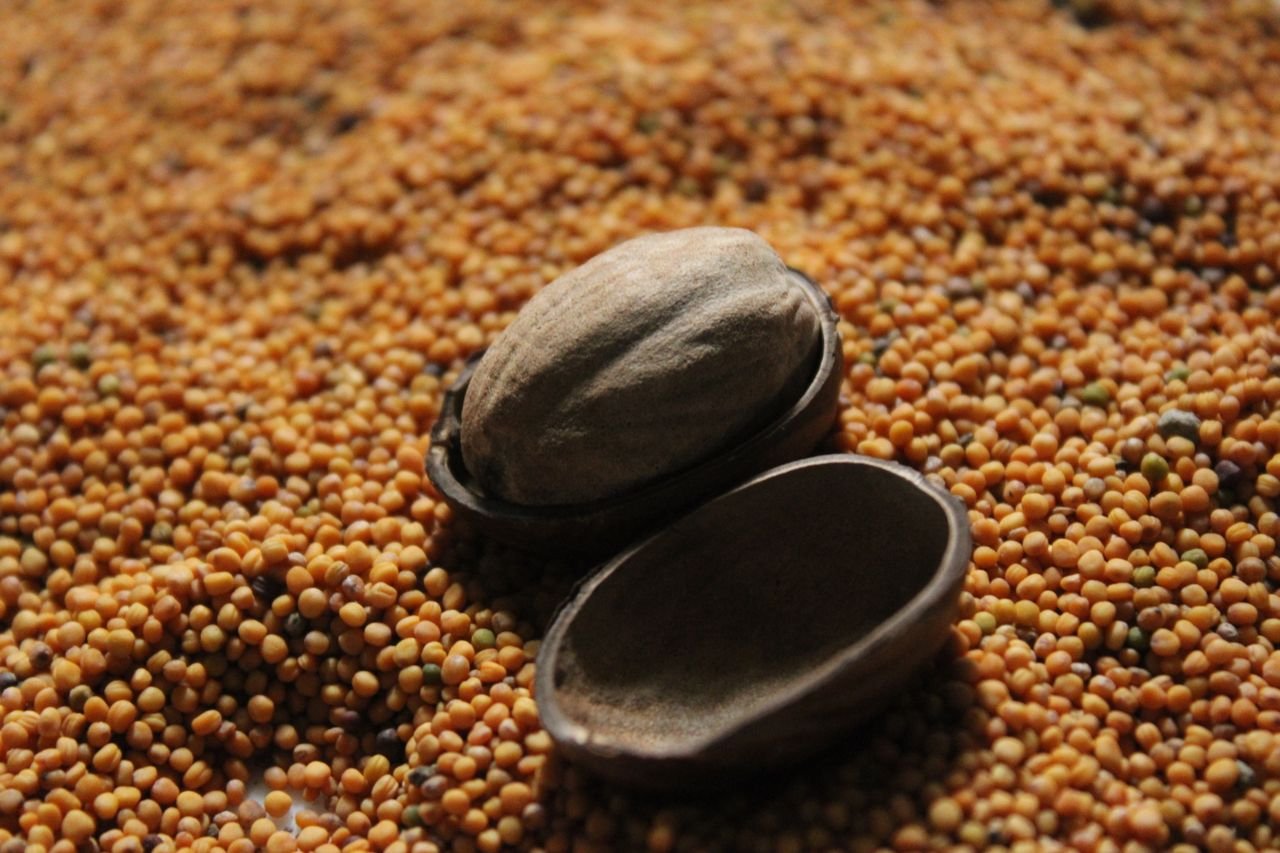 vertical farming hybrid seeds food security